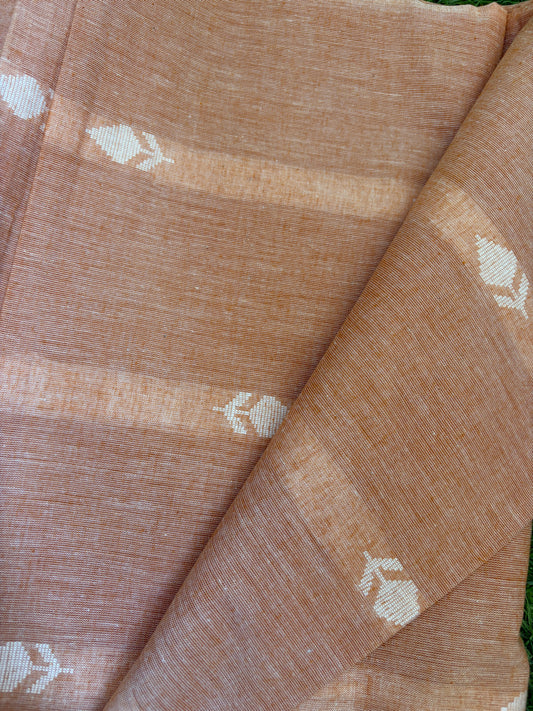 Mangalgiri jaamdani Cotton